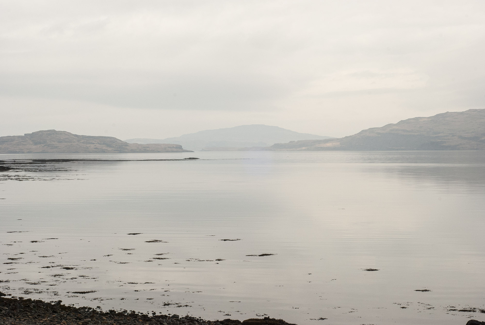  by David Abbott
