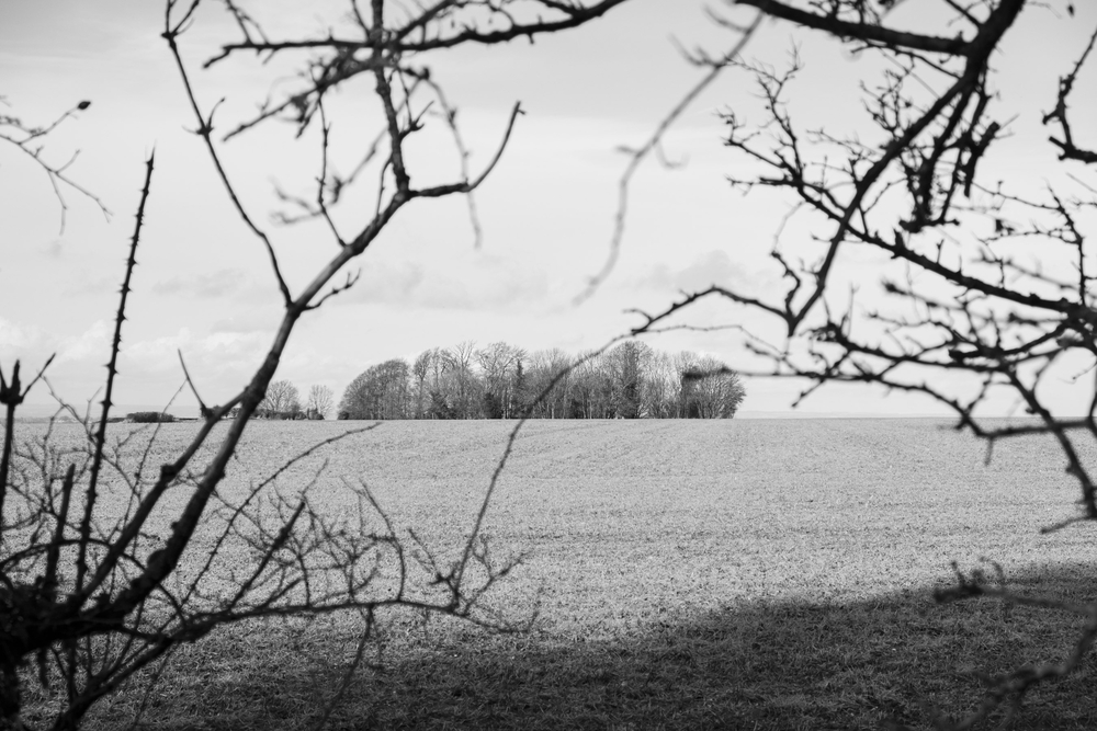  by David Abbott