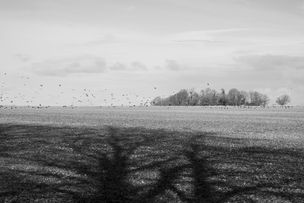  by David Abbott
