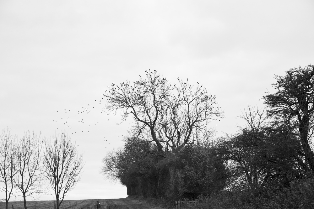  by David Abbott
