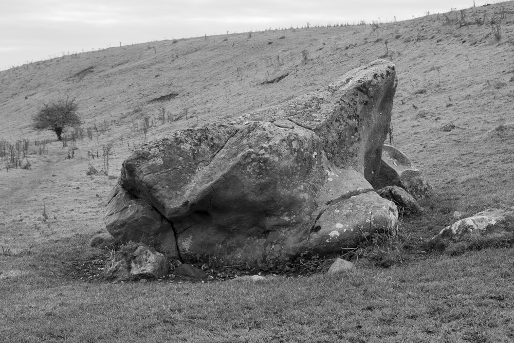  by David Abbott
