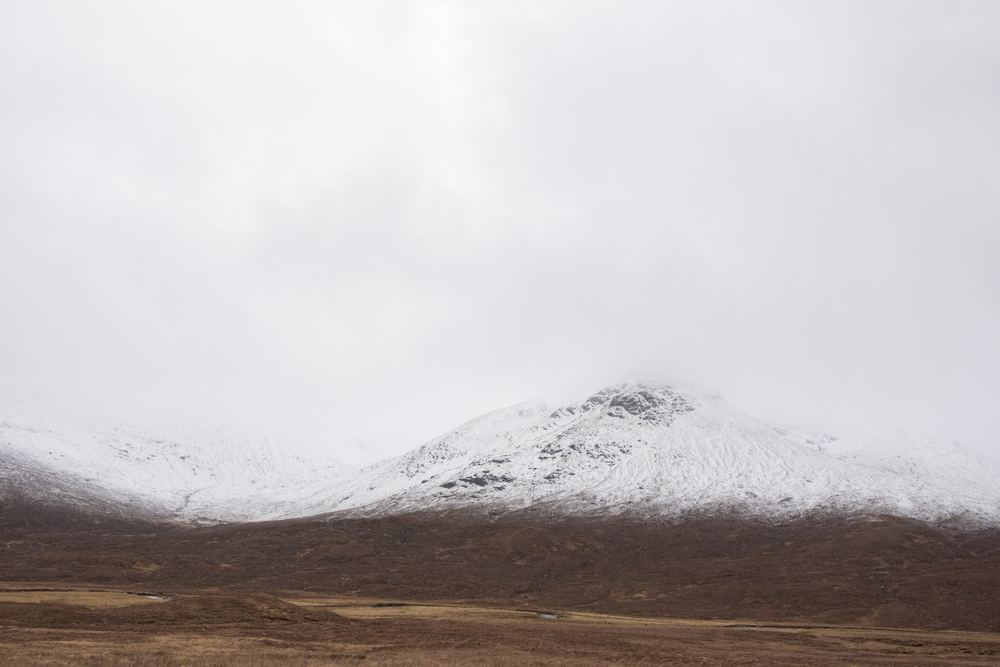  by David Abbott