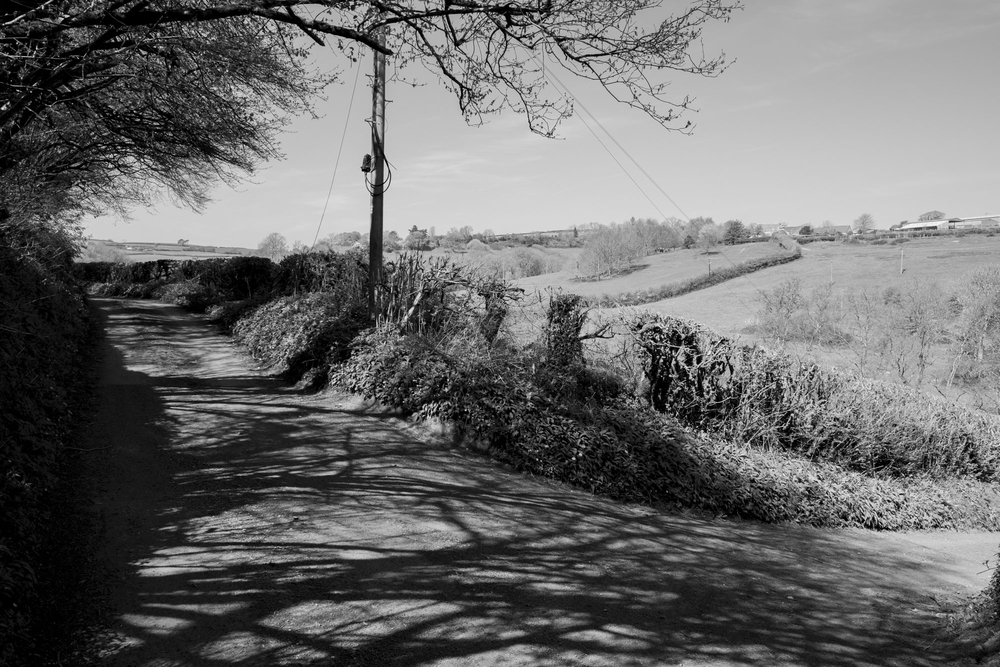  by David Abbott