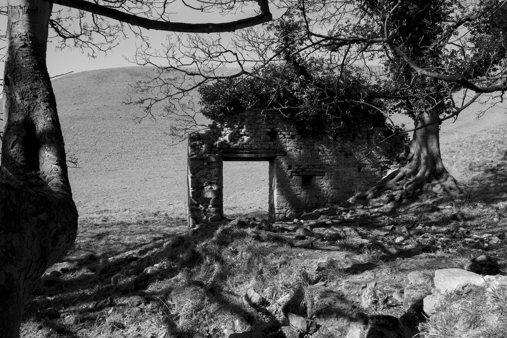  by David Abbott