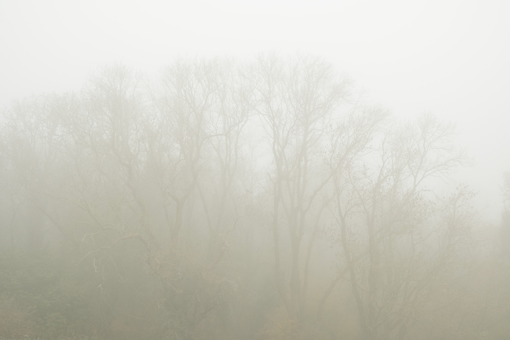  by David Abbott