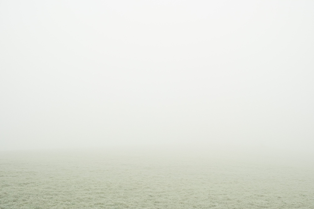  by David Abbott