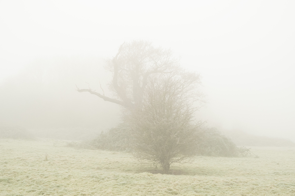 by David Abbott