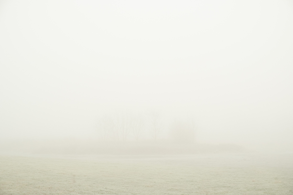 by David Abbott