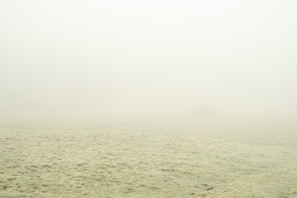  by David Abbott