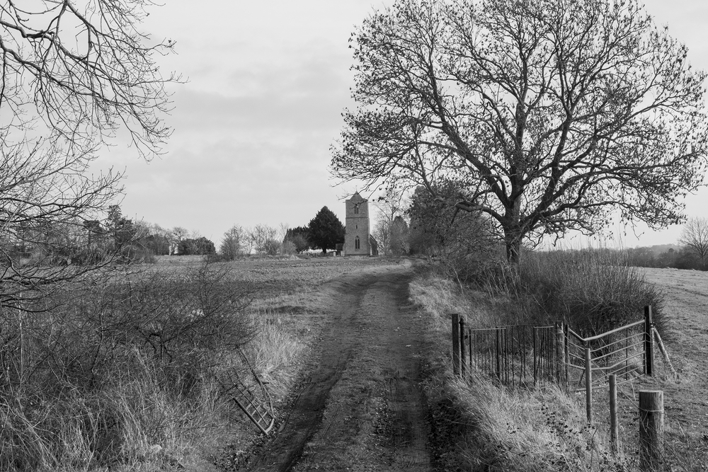  by David Abbott