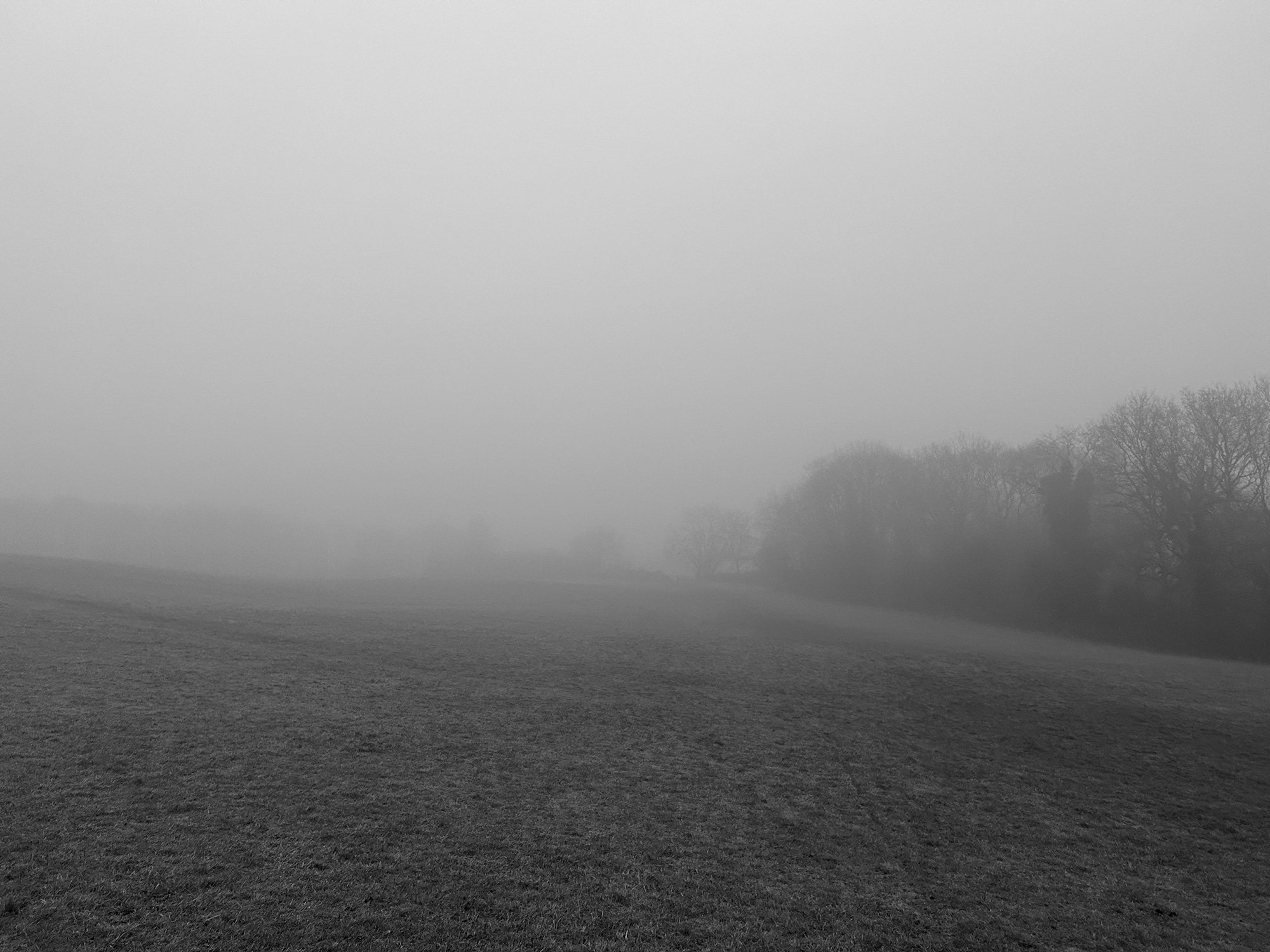 Up through the mist'